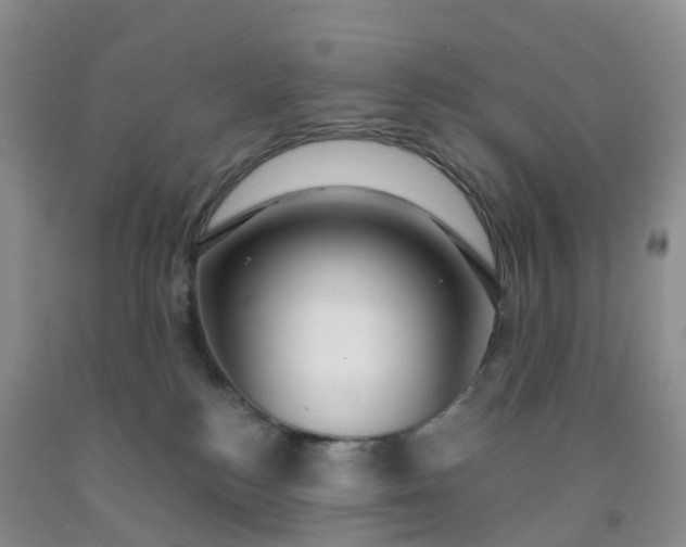 X0000091970184200709201413