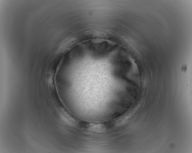 X0000091970185200709201413