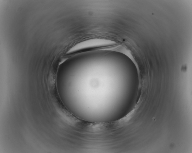 X0000091970186200709201413