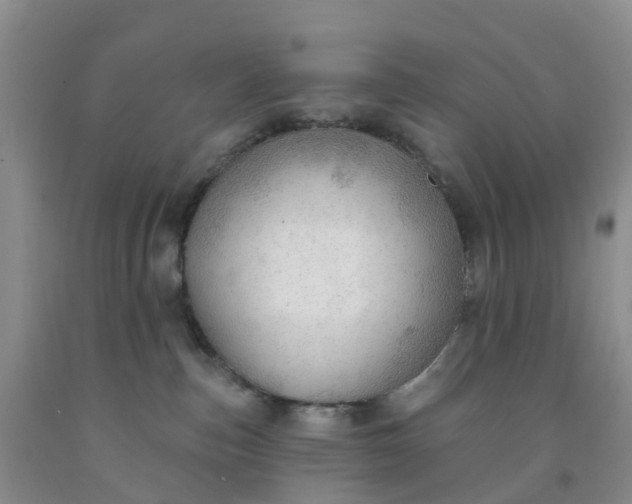 X0000091970187200709201413