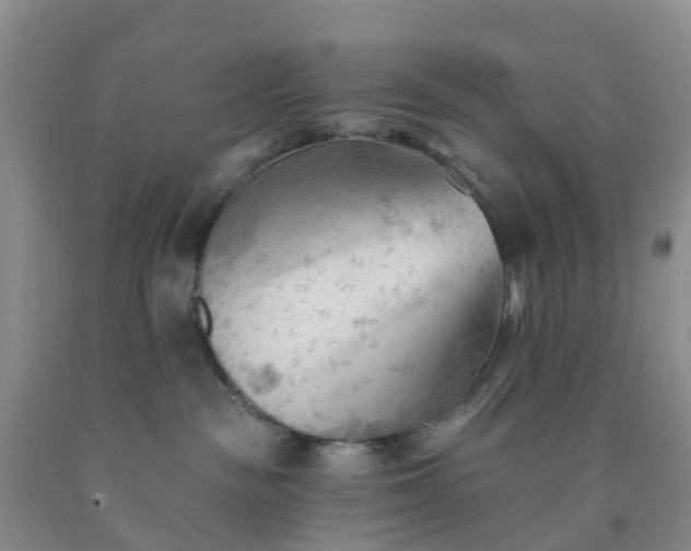 X0000091970189200709201413