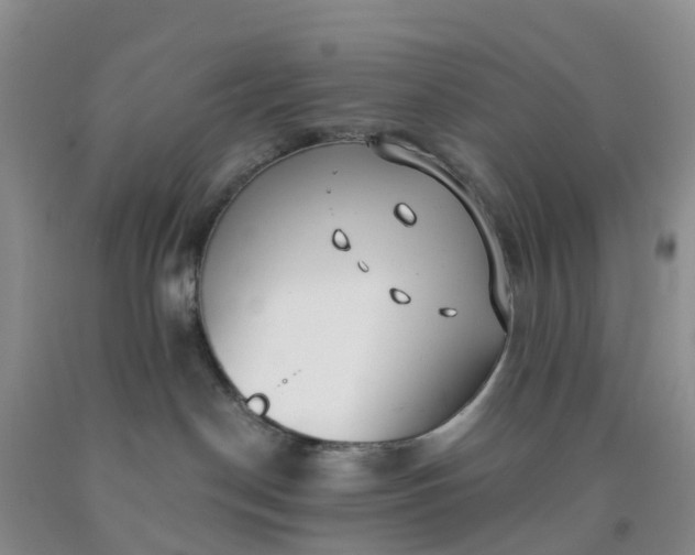 X0000091970190200709201413