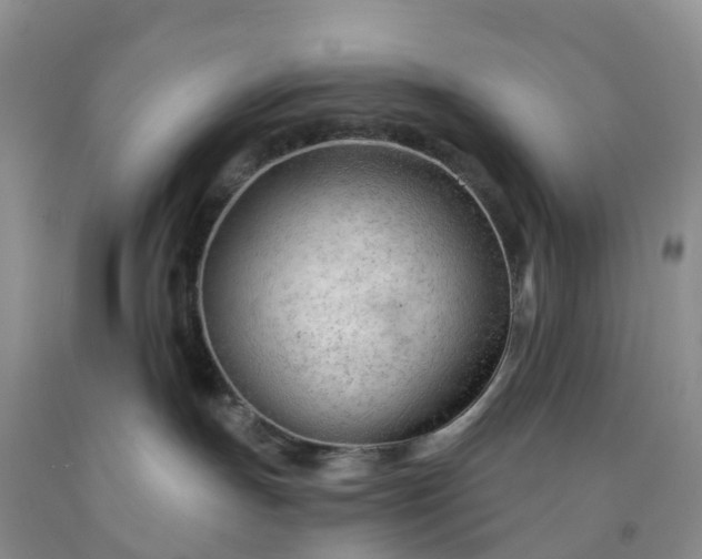 X0000091970191200709201413
