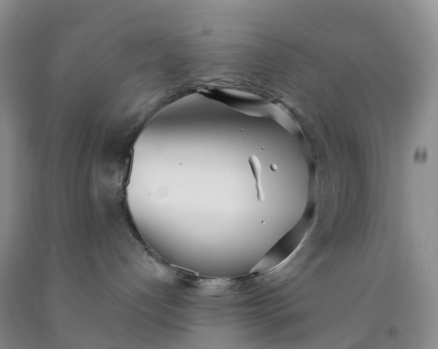 X0000091970192200709201413