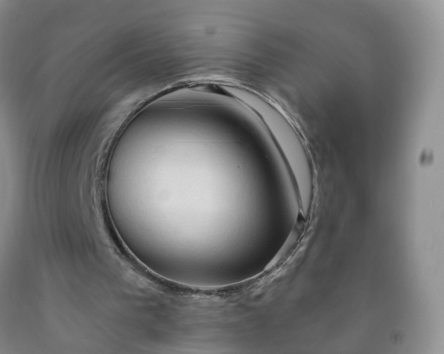 X0000091970193200709201412