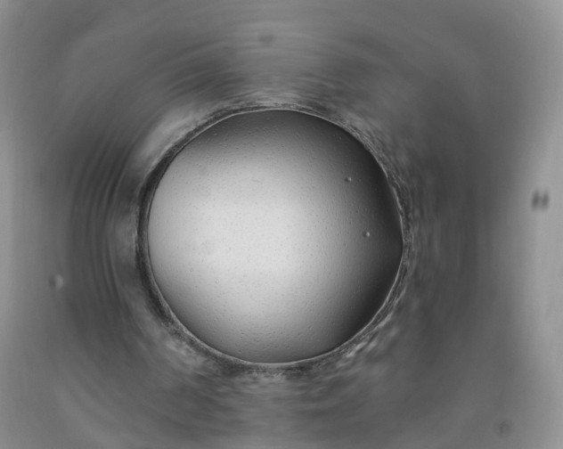 X0000091970194200709201412