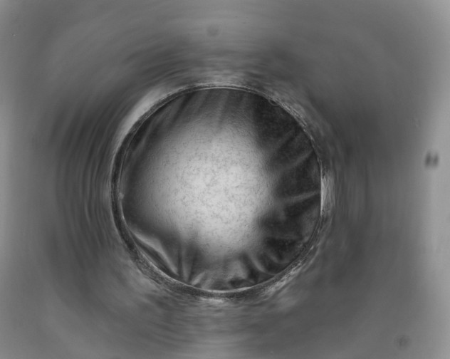 X0000091970195200709201412