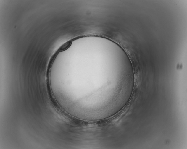 X0000091970196200709201412