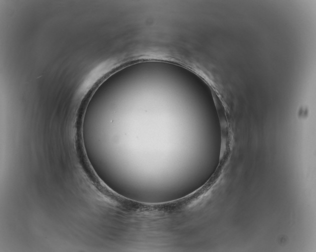 X0000091970199200709201412