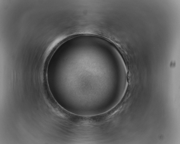 X0000091970200200709201412