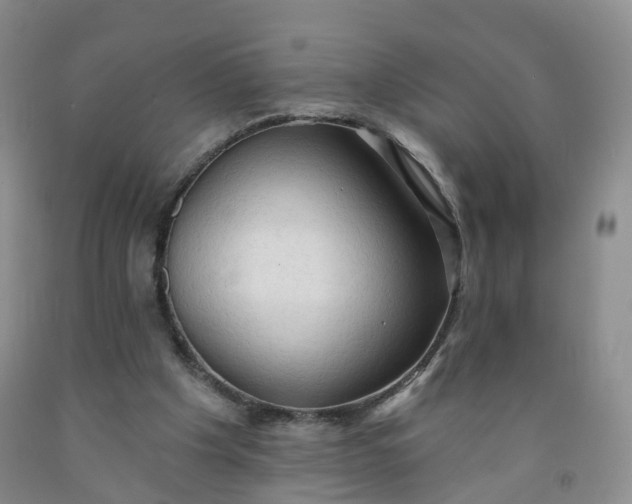 X0000091970201200709201412