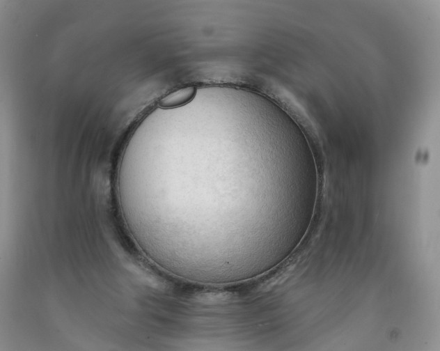 X0000091970202200709201412