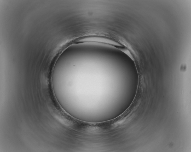 X0000091970203200709201412