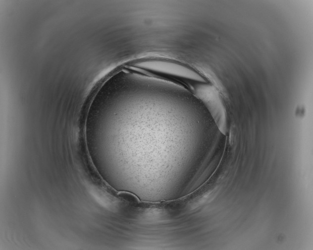 X0000091970204200709201412