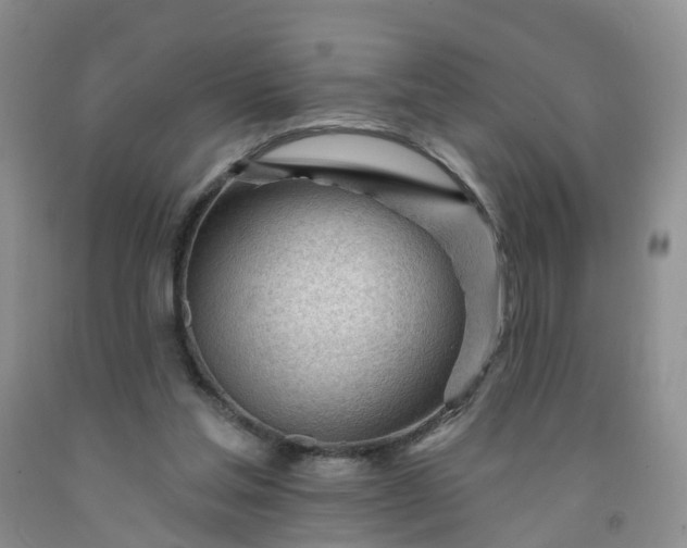 X0000091970205200709201412