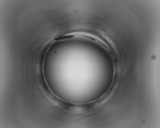 X0000091970209200709201412