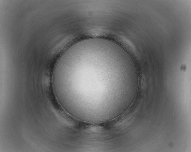 X0000091970210200709201412