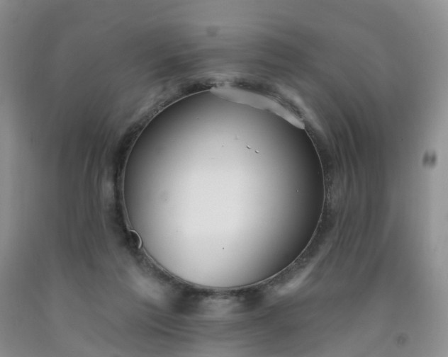 X0000091970213200709201412