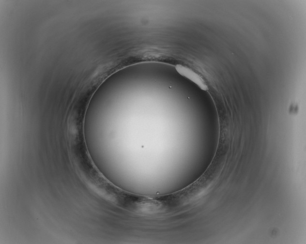 X0000091970215200709201412