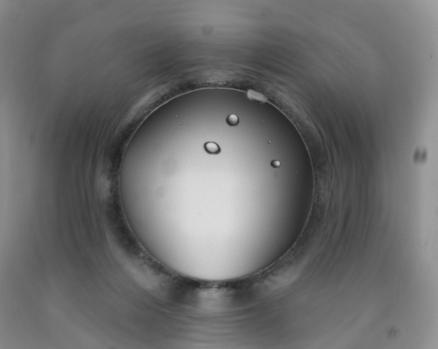 X0000091970216200709201412