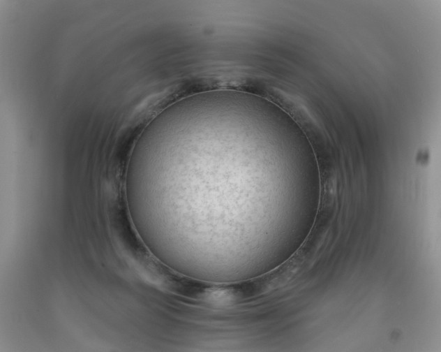 X0000091970218200709201412
