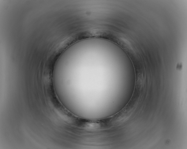 X0000091970220200709201412