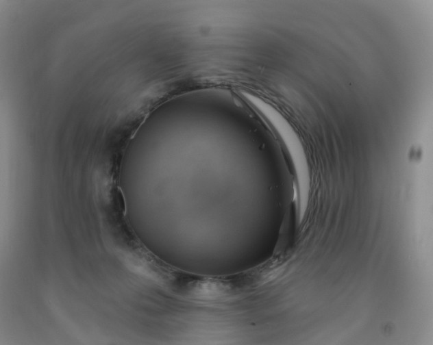 X0000091970223200709201412
