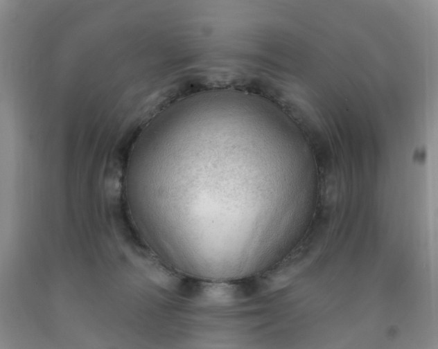 X0000091970226200709201412