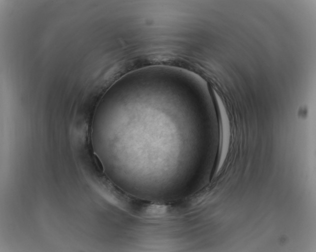 X0000091970227200709201412