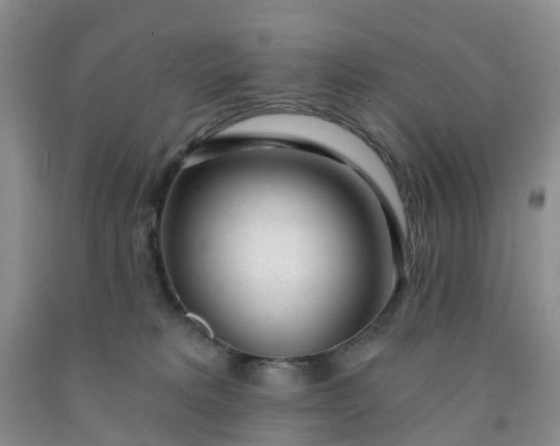 X0000091970229200709201412