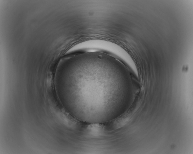 X0000091970231200709201412