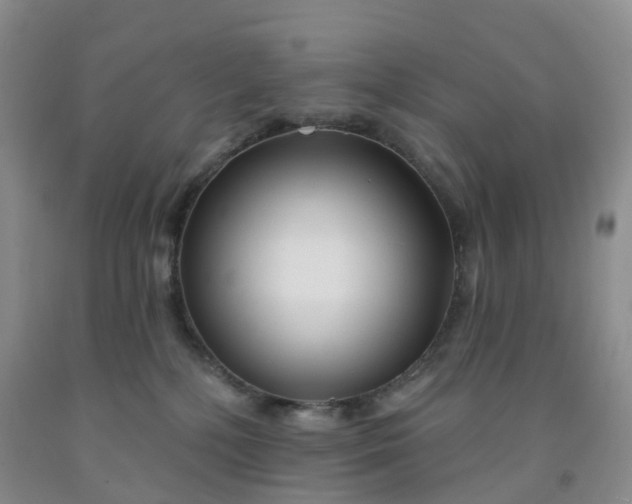 X0000091970232200709201412