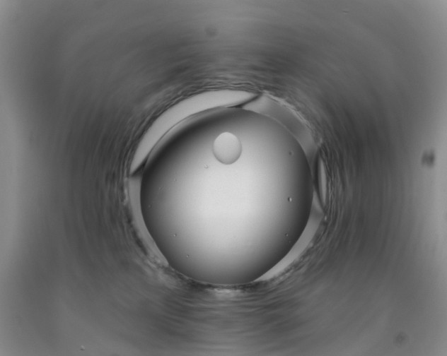 X0000091970233200709201412
