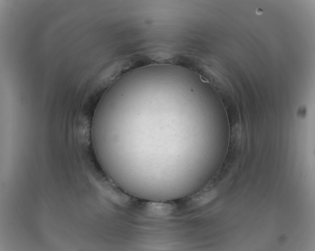 X0000091970234200709201412