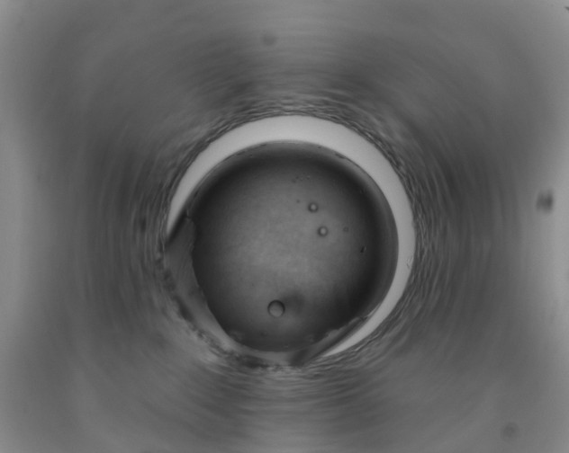 X0000091970235200709201412
