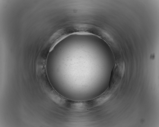 X0000091970237200709201412