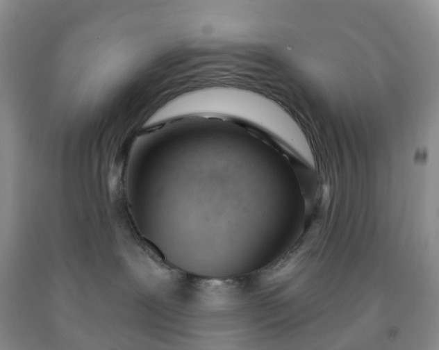 X0000091970239200709201412