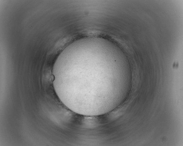 X0000091970240200709201412