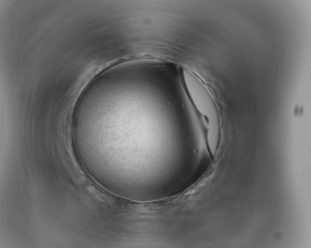 X0000091970241200709201411