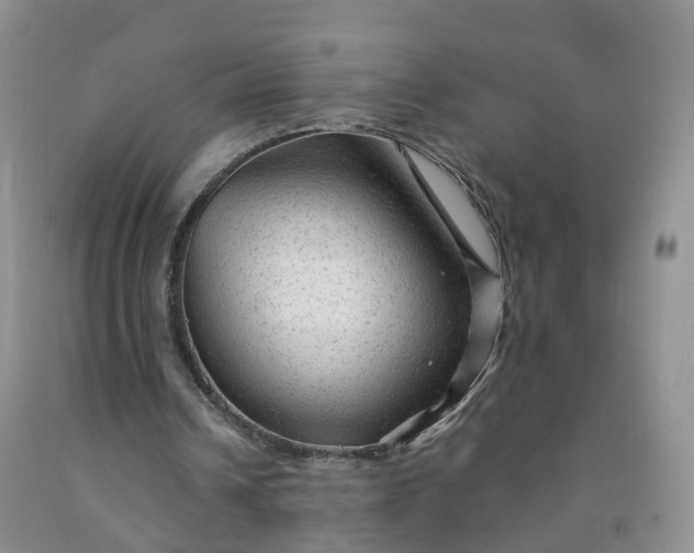 X0000091970242200709201411