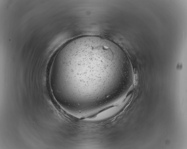 X0000091970243200709201411