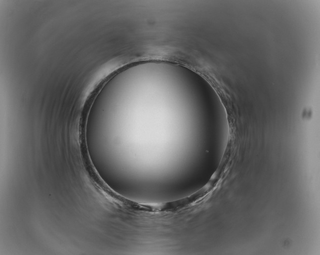 X0000091970244200709201411