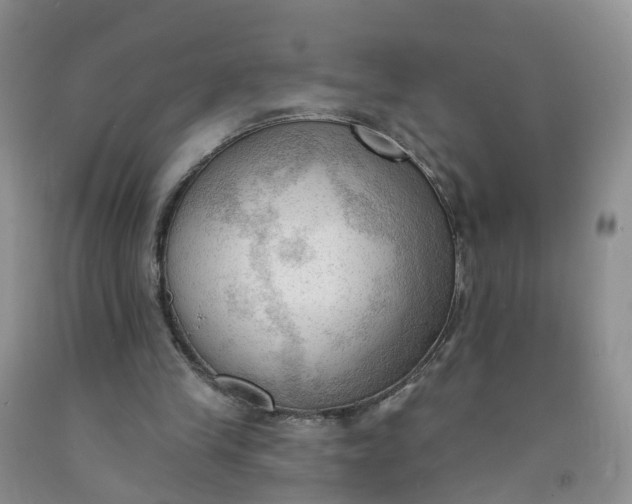 X0000091970245200709201411
