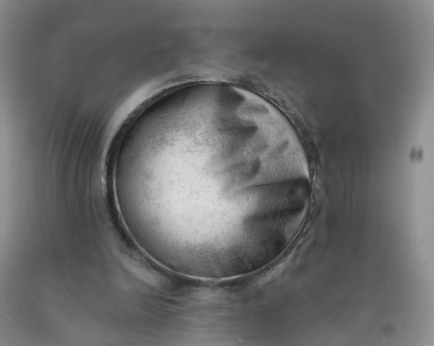 X0000091970246200709201411