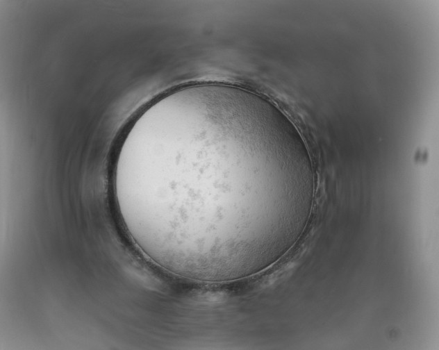 X0000091970247200709201411