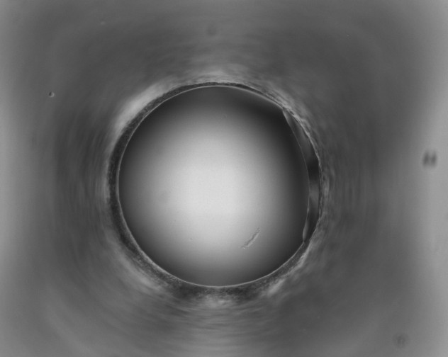 X0000091970248200709201411