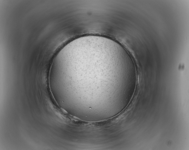 X0000091970249200709201411
