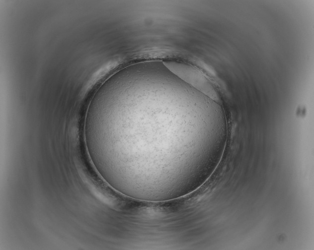 X0000091970250200709201411