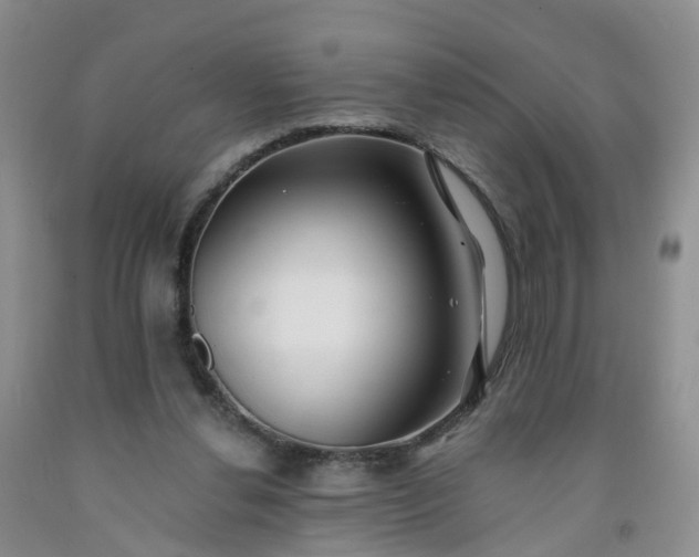 X0000091970252200709201411
