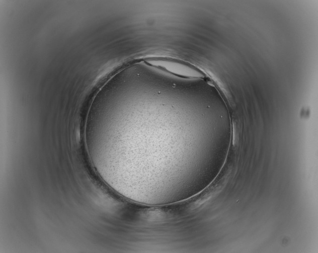 X0000091970253200709201411